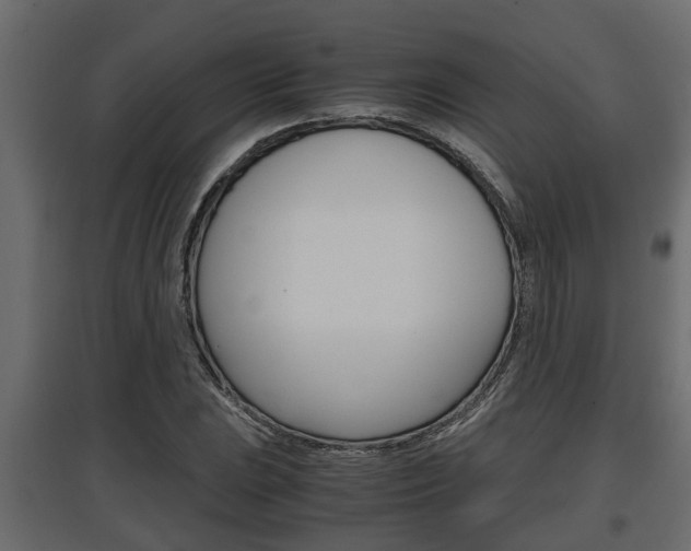 X0000097761023200803070832