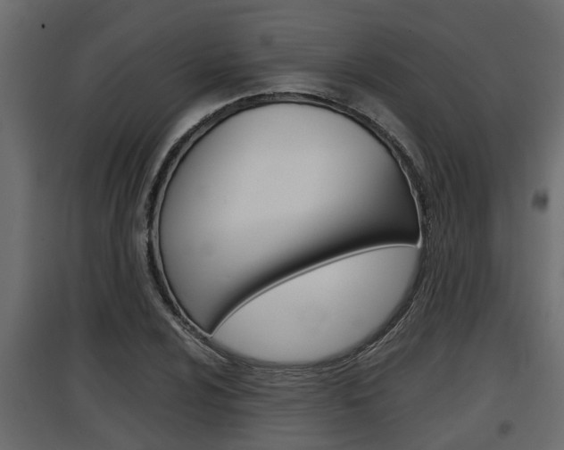 X0000097761024200803070832