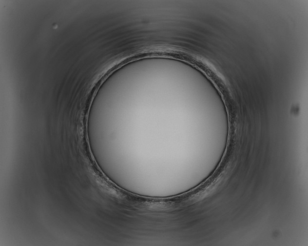 X0000097761025200803070832
