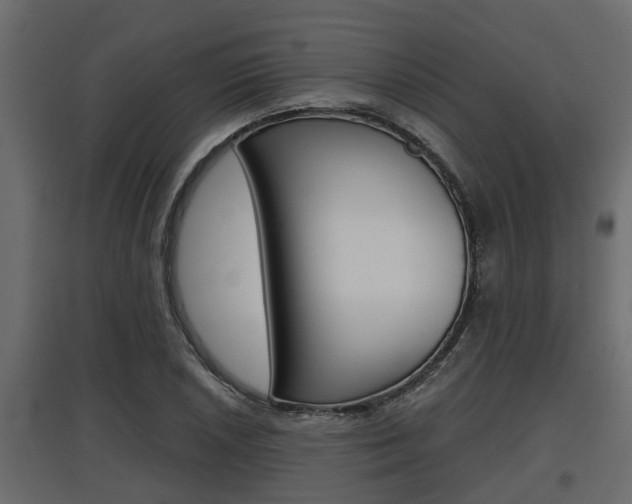 X0000097761026200803070832