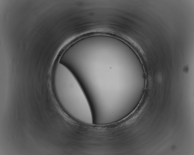 X0000097761029200803070832