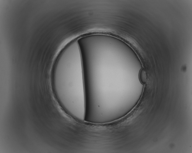 X0000097761030200803070832