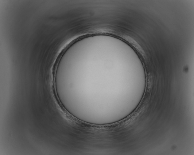X0000097761031200803070832