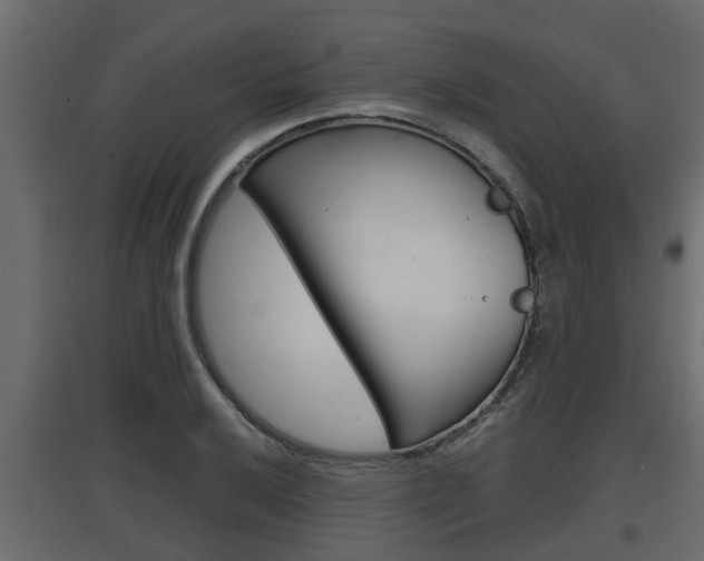X0000097761032200803070832