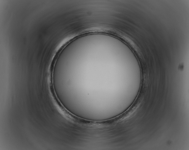 X0000097761034200803070832