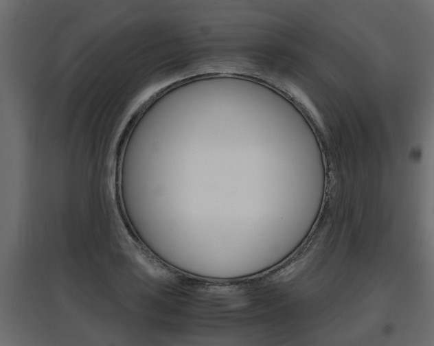 X0000097761035200803070832