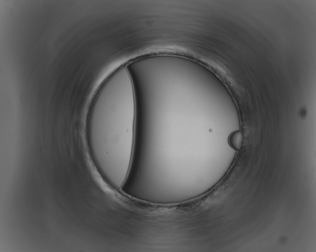 X0000097761038200803070832