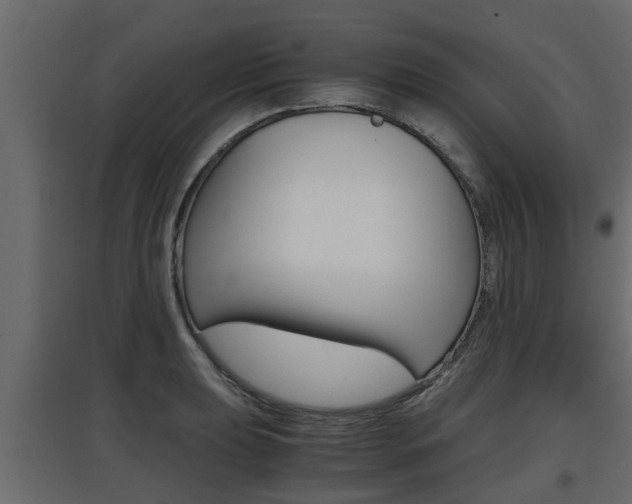 X0000097761039200803070832