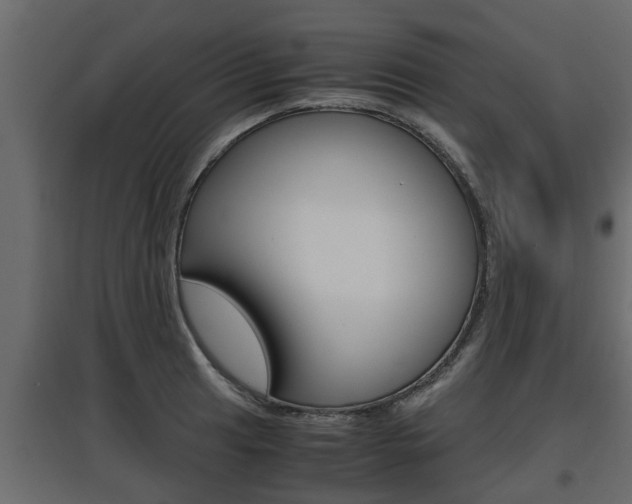 X0000097761041200803070832