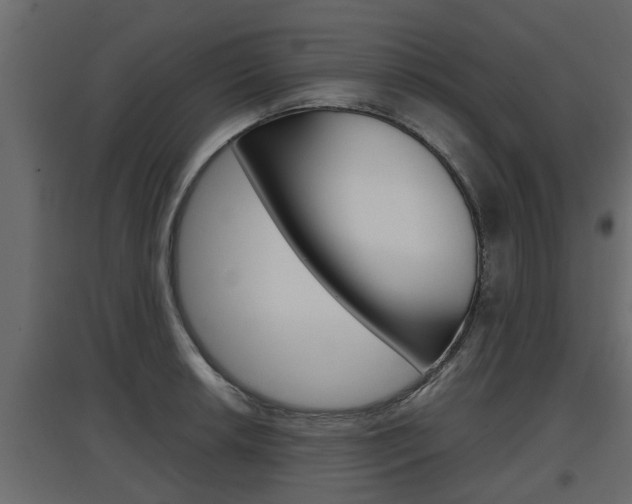 X0000097761042200803070832
