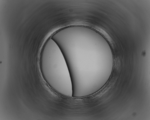 X0000097761043200803070832