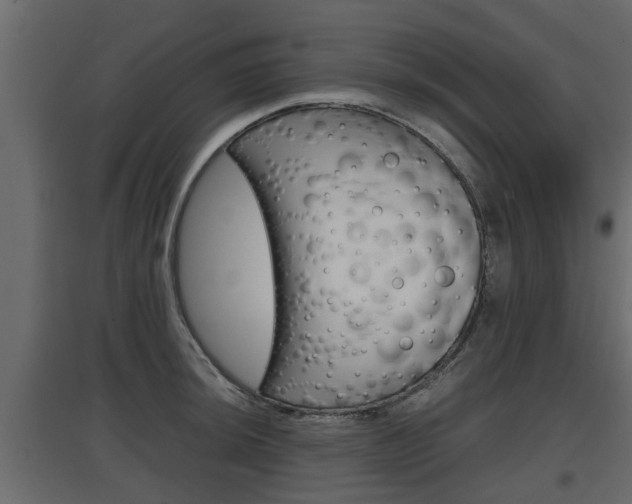 X0000097761044200803070832