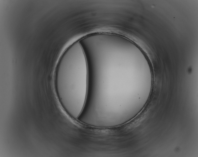 X0000097761045200803070832