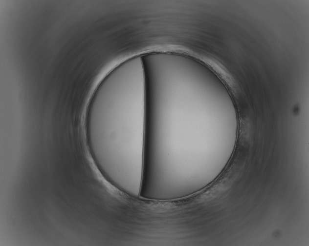 X0000097761046200803070832