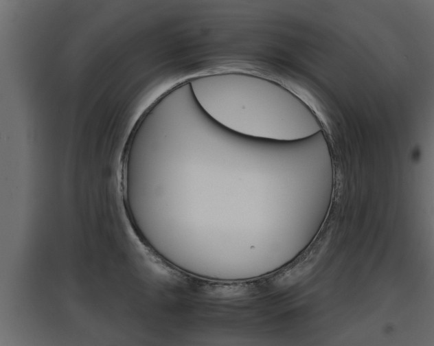 X0000097761047200803070832