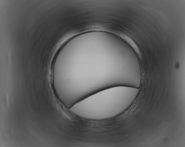X0000097761051200803070832