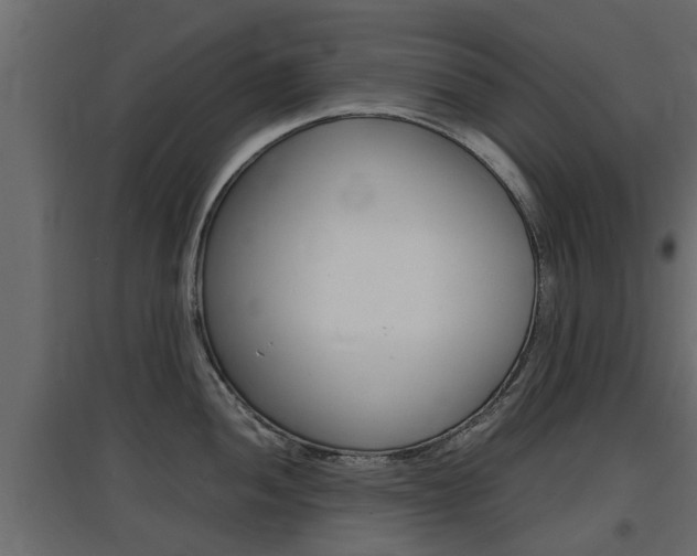 X0000097761052200803070832