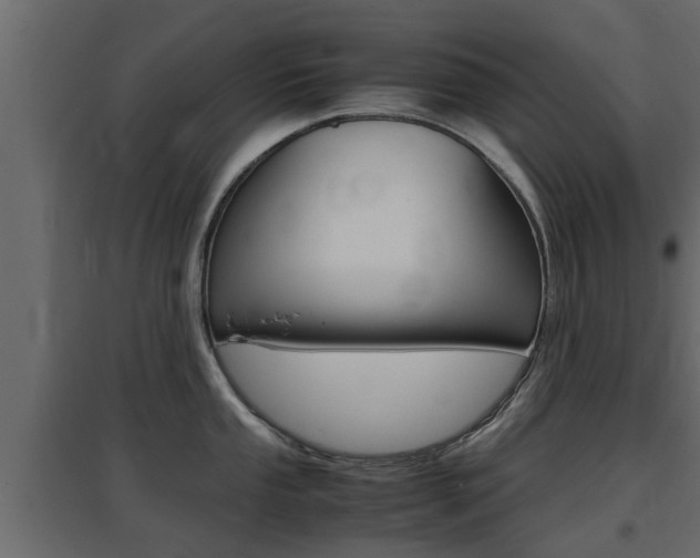 X0000097761053200803070832