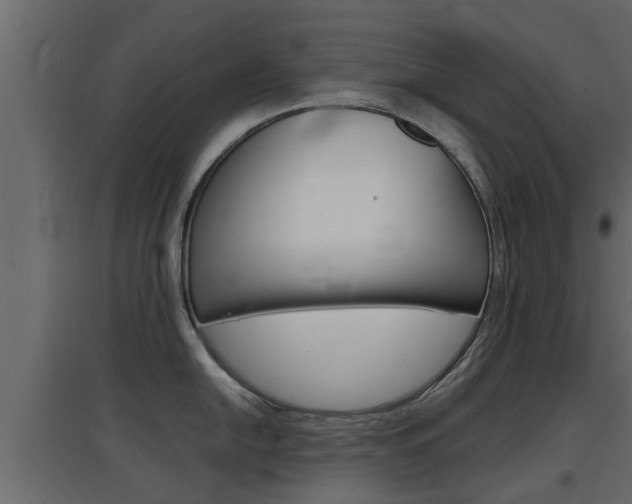 X0000097761054200803070832