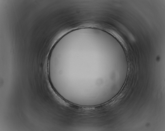 X0000097761055200803070832