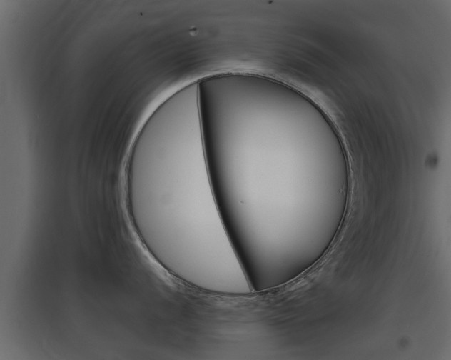 X0000097761056200803070832