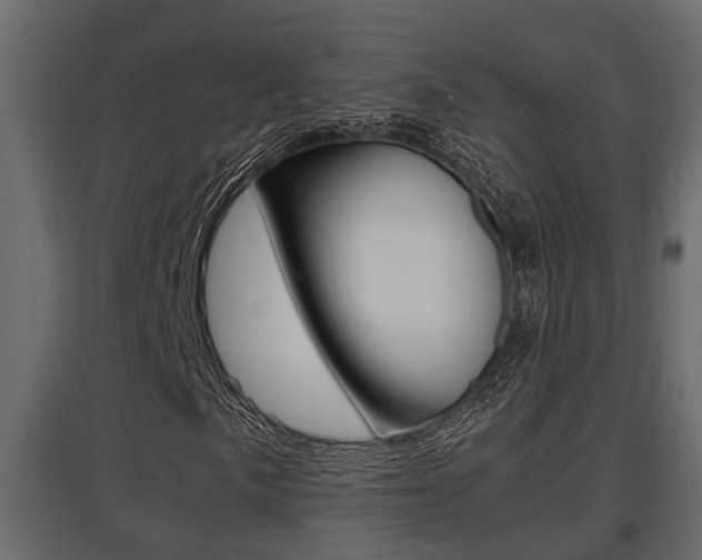 X0000097761057200803070832