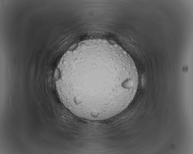 X0000097761059200803070832
