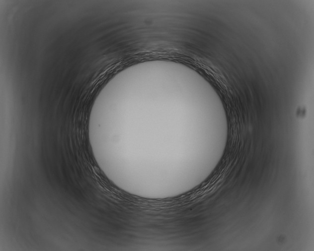 X0000097761060200803070832