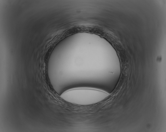 X0000097761061200803070831