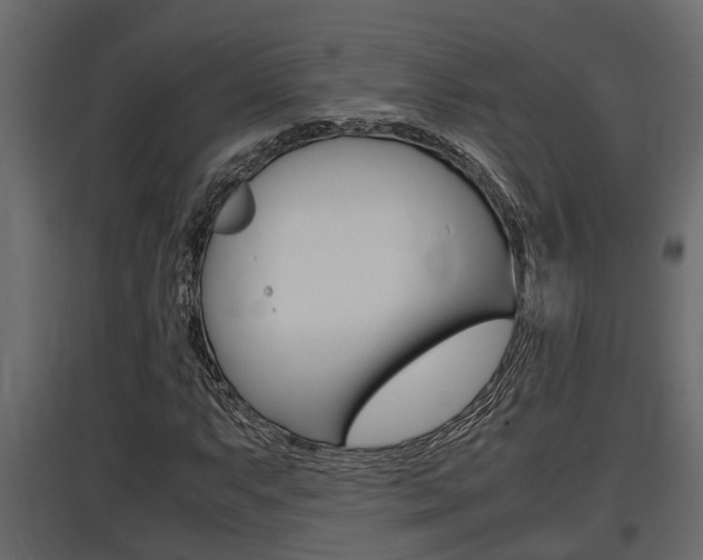 X0000097761063200803070831