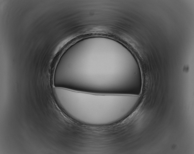 X0000097761066200803070831