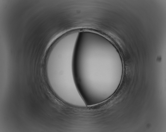 X0000097761069200803070831
