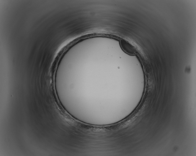 X0000097761070200803070831