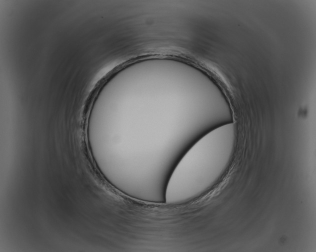 X0000097761071200803070831