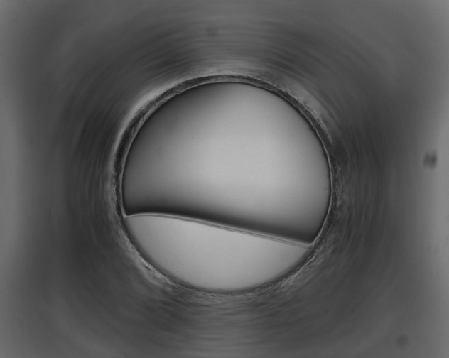 X0000097761072200803070831