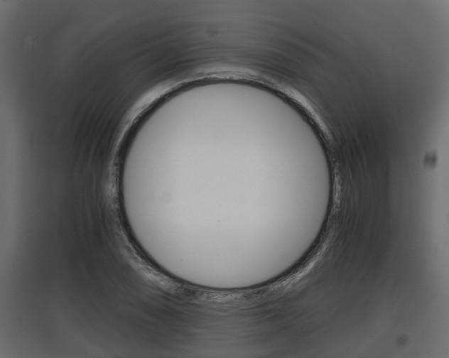 X0000097761074200803070831