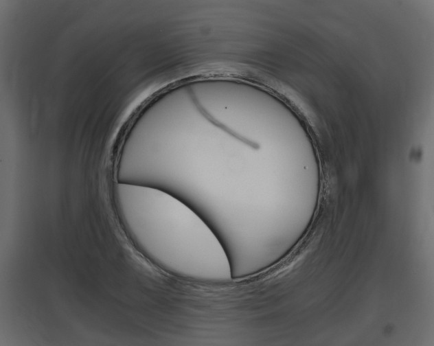 X0000097761075200803070831
