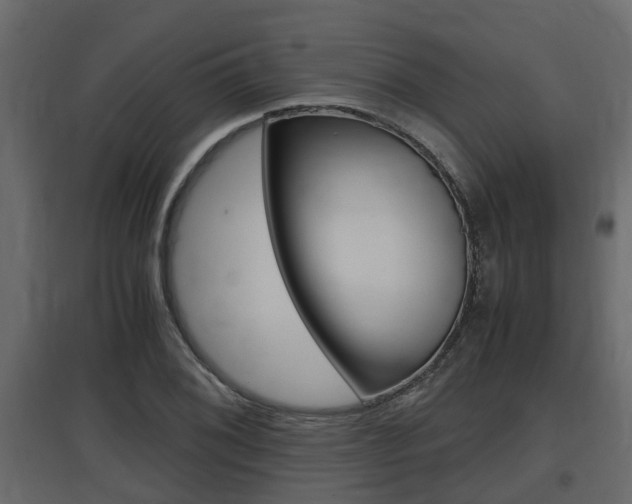 X0000097761076200803070831