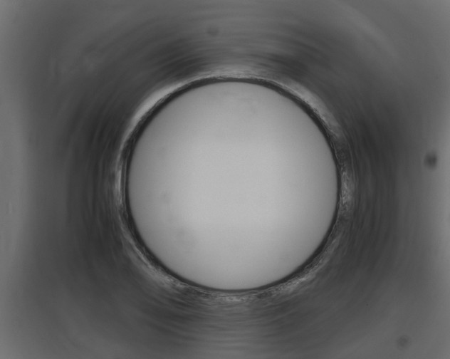 X0000097761078200803070831
