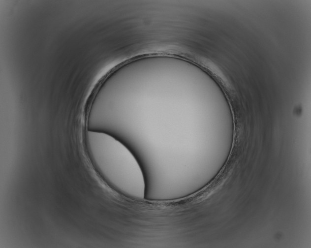 X0000097761079200803070831