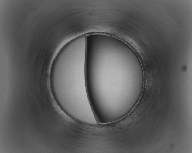 X0000097761080200803070831