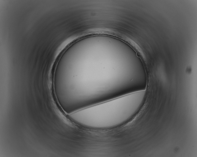 X0000097761082200803070831