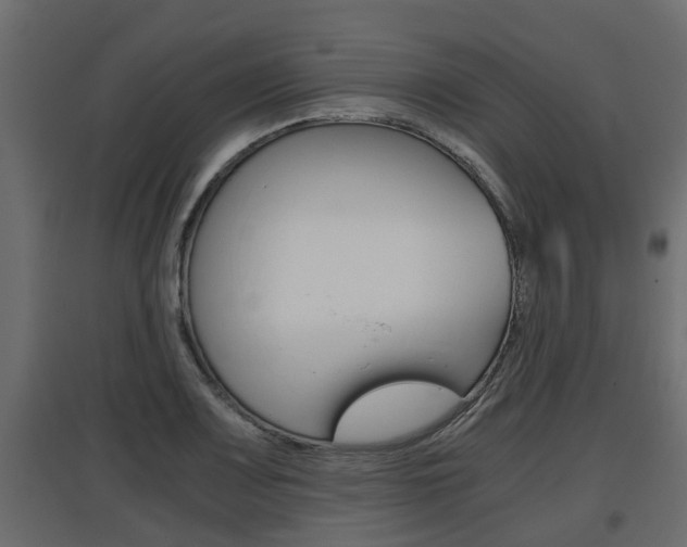 X0000097761083200803070831