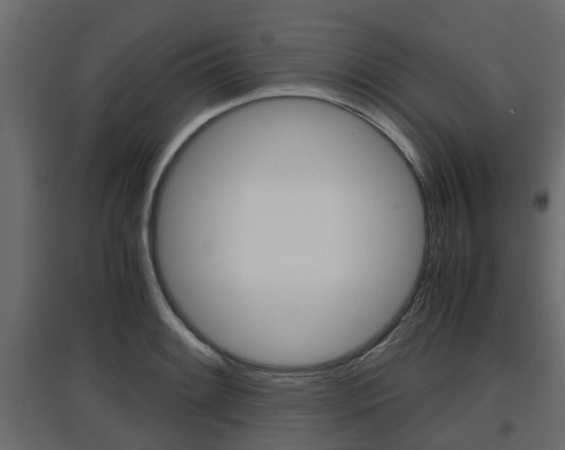 X0000097761084200803070831