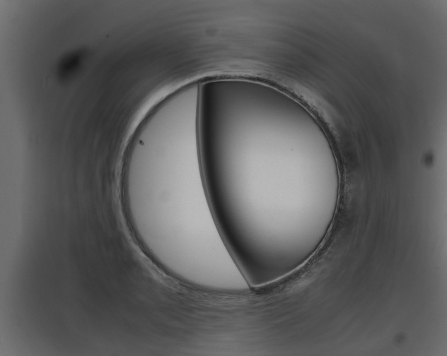 X0000097761085200803070831