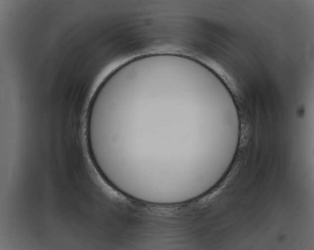 X0000097761086200803070831