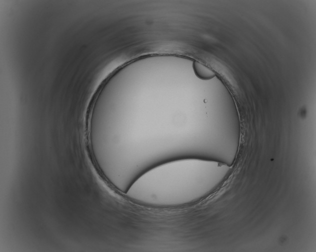 X0000097761087200803070831