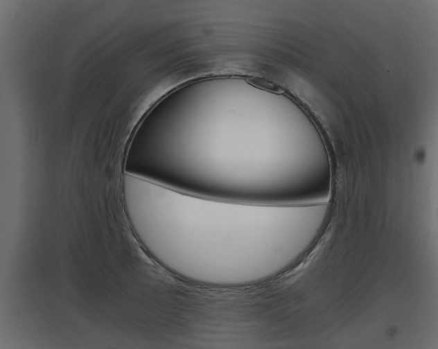 X0000097761089200803070831