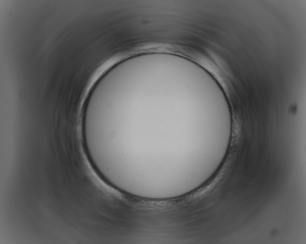 X0000097761090200803070831