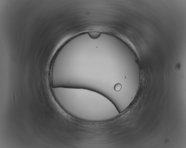 X0000097761091200803070831